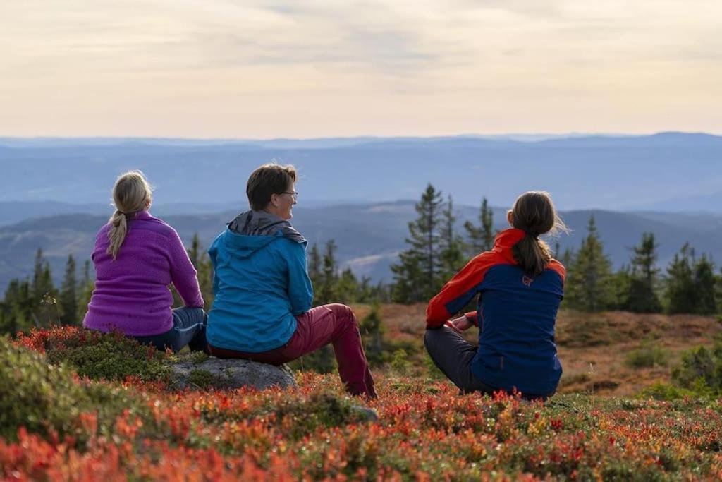 Beautiful Penthouse With Panoramic View At Sjusjoen Sjusjøen Exterior foto
